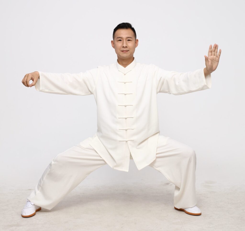 MH Tai Chi Aachen Chen Taijiquan Yang Taijiquan Qi Gong